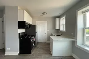 722 N Austin Blvd, Oak Park, IL 60302 - Photo 4