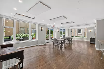 25 E Superior Street #1006, Chicago, IL 60611 - Photo 24
