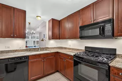 25 E Superior Street #1006, Chicago, IL 60611 - Photo 8