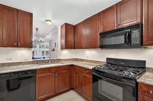 25 E Superior St, Chicago, IL 60611 - Photo 8