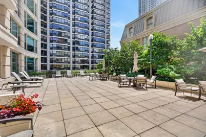 25 E Superior Street #1006, Chicago, IL 60611 - Photo 20