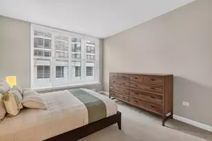 25 E Superior St, Chicago, IL 60611 - Photo 10