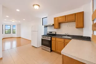 3213 S Green Ave, Chicago, IL 60608 - Photo 4