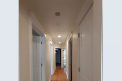 432 E 45th Place, Chicago, IL 60653 - Photo 22