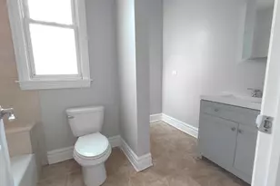 432 E 45th Pl, Chicago, IL 60653 - Photo 30