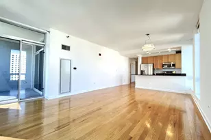 1250 S Michigan Ave, Chicago, IL 60605 - Photo 2