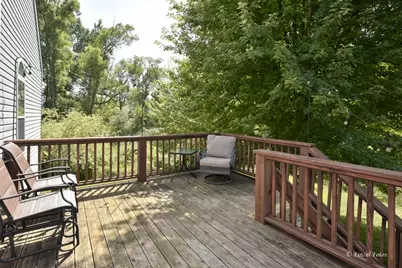 1290 Savanna Lane, Woodstock, IL 60098 - Photo 16