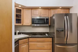 1455 N Sandburg Terrace, Chicago, IL 60610 - Photo 10