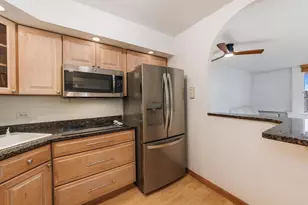 1455 N Sandburg Terrace, Chicago, IL 60610 - Photo 8