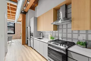 153 W Ohio St, Chicago, IL 60654 - Photo 10
