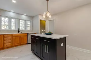 8517 W Carmen Ave, Chicago, IL 60656 - Photo 16