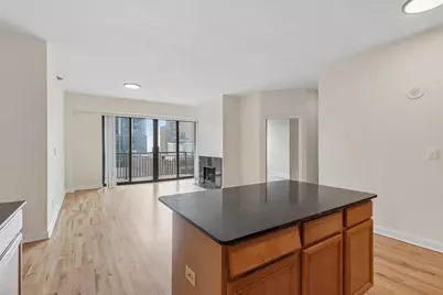 41 E 8th Street #1102, Chicago, IL 60605 - Photo 10