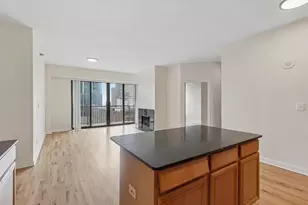 41 E 8th St, Chicago, IL 60605 - Photo 10