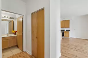 41 E 8th St, Chicago, IL 60605 - Photo 18