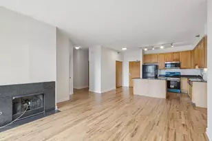 41 E 8th St, Chicago, IL 60605 - Photo 8