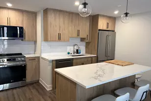 227 E Walton Pl, Chicago, IL 60611 - Photo 2