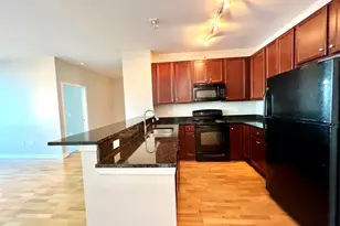 1901 S Calumet Ave, Chicago, IL 60616 - Photo 8