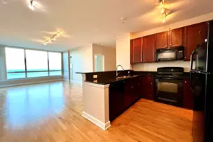 1901 S Calumet Ave, Chicago, IL 60616 - Photo 6