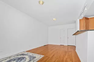 2514 W North Shore Ave, Chicago, IL 60645 - Photo 4