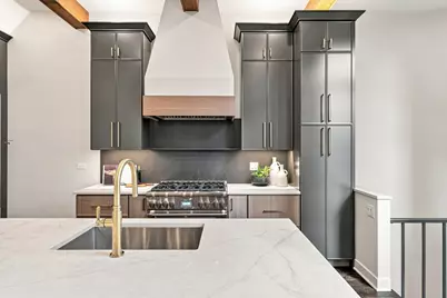 67 W Schiller Street, Chicago, IL 60610 - Photo 6
