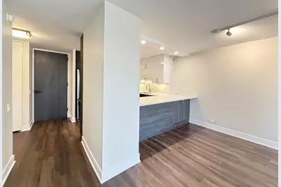 1030 N State Street #12K, Chicago, IL 60610 - Photo 4