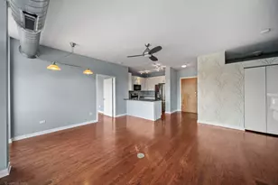 1111 W 15th St, Chicago, IL 60608 - Photo 10