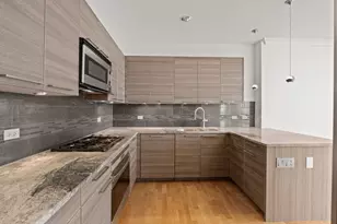 10 E Delaware Pl, Chicago, IL 60611 - Photo 8