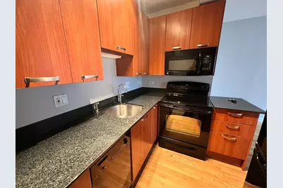 732 W Bittersweet Place #108, Chicago, IL 60613 - Photo 2
