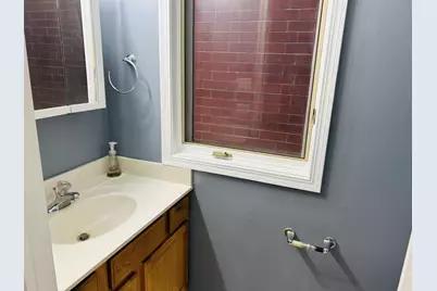 1918 S Louie Parkway, Chicago, IL 60616 - Photo 42