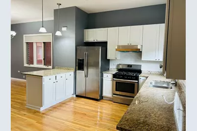 1918 S Louie Parkway, Chicago, IL 60616 - Photo 8