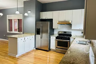 1918 S Louie Pkwy, Chicago, IL 60616 - Photo 8