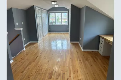 1918 S Louie Parkway, Chicago, IL 60616 - Photo 38