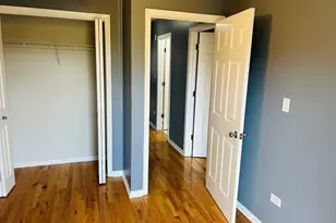 1918 S Louie Pkwy, Chicago, IL 60616 - Photo 24
