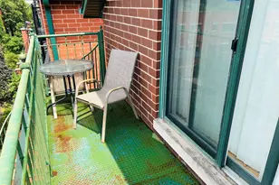 1918 S Louie Pkwy, Chicago, IL 60616 - Photo 30