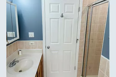 1918 S Louie Parkway, Chicago, IL 60616 - Photo 18
