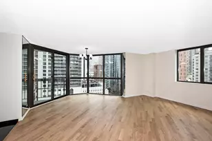 33 W Delaware Pl, Chicago, IL 60610 - Photo 10