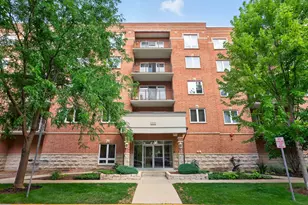 1378 Perry St, Des Plaines, IL 60016 - Photo 1