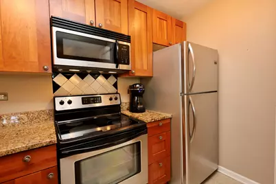10115 Old Orchard Court #303, Skokie, IL 60076 - Photo 14