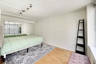 233 E Erie St, Chicago, IL 60611 - Photo 22