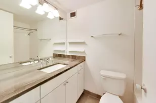 233 E Erie St, Chicago, IL 60611 - Photo 28