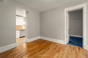 3316 S Calumet Ave S, Chicago, IL 60616 - Photo 10