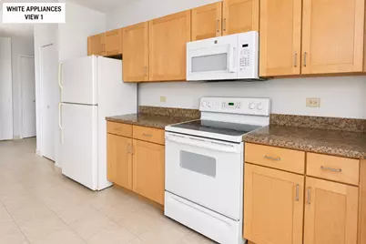 222 N Columbus Drive #3208, Chicago, IL 60601 - Photo 4
