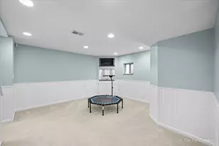 612 Rosedale Ave, Roselle, IL 60172 - Photo 38