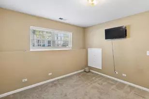 117 Terra Firma Ln, Volo, IL 60020 - Photo 18