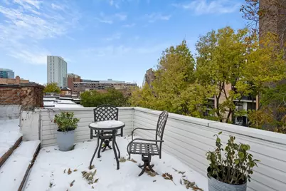 636 W Grace Street #1W, Chicago, IL 60613 - Photo 34