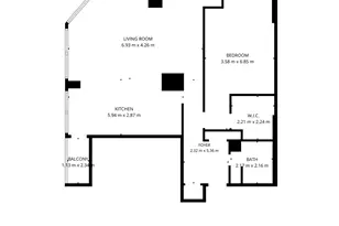 1030 N State St, Chicago, IL 60610 - Photo 20