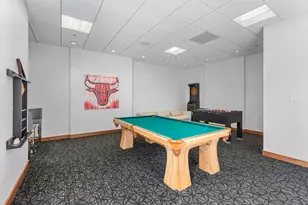 420 E Waterside Dr, Chicago, IL 60601 - Photo 30