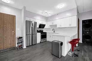 2322 S Canal St, Chicago, IL 60616 - Photo 4