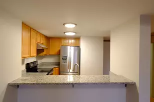 1828 S Wentworth Ave, Chicago, IL 60616 - Photo 4