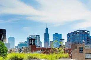 1000 W Washington Blvd, Chicago, IL 60607 - Photo 38